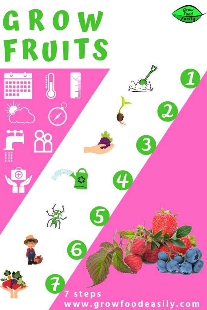 Grow fruits - 7 steps