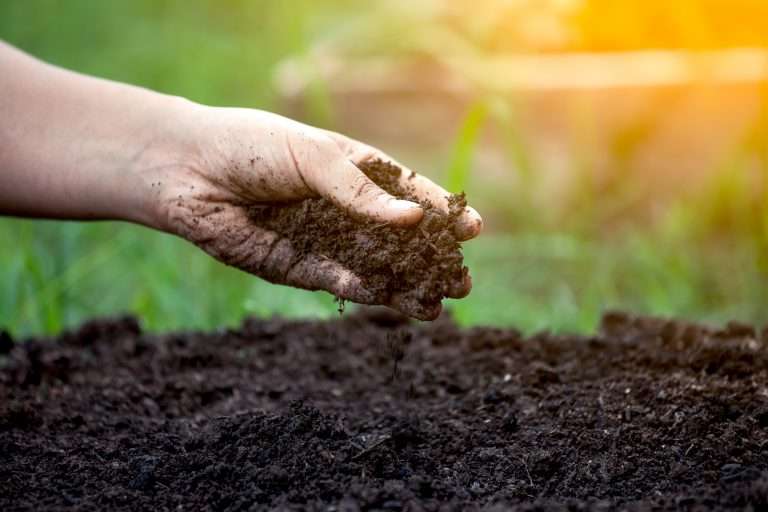 Soil quality in hand
