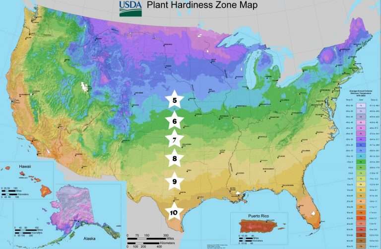 planting zones america