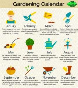 gardening guide